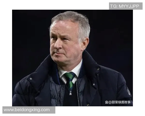 斯洛伐克与爱尔兰足球赛前瞻分析及胜负预测展望